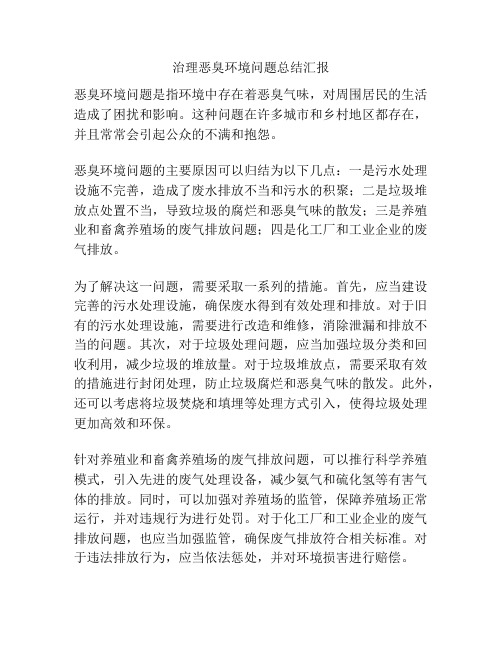 治理恶臭环境问题总结汇报