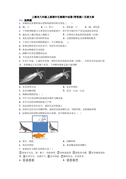 上海市八年级上册期中生物期中试卷(带答案)-百度文库