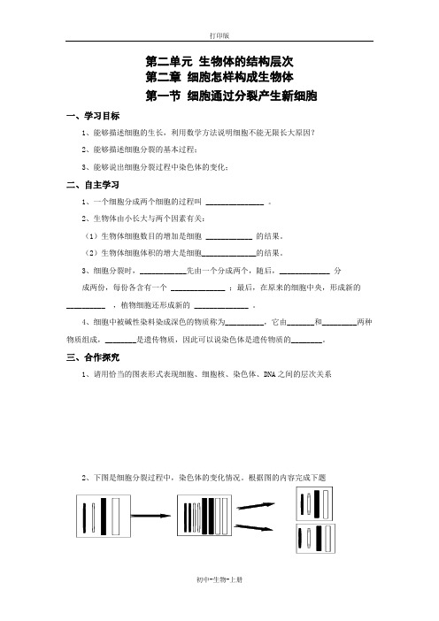 人教版生物-七年级上册-2.2.1细胞通过分裂产生新细胞 导学案