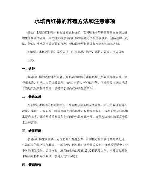 水培西红柿的养殖方法和注意事项