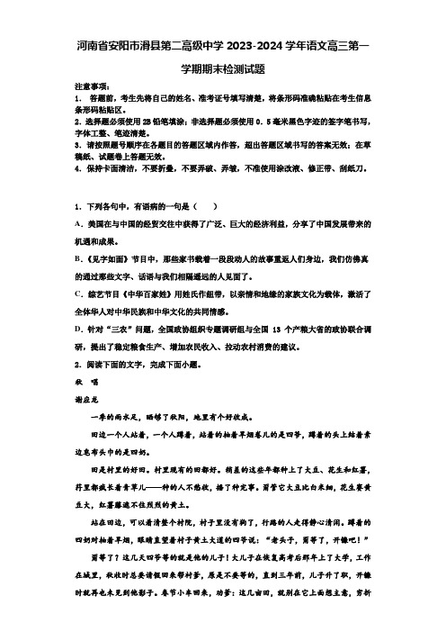 河南省安阳市滑县第二高级中学2023-2024学年语文高三第一学期期末检测试题含解析