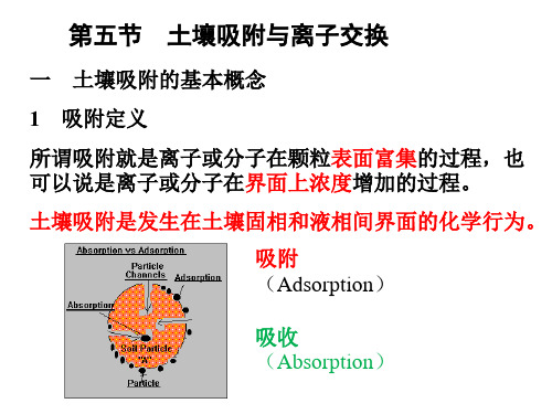 第五节 土壤吸附与离子交换