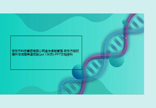 京东方科技集团有限公司追求卓越管理-京东方组织提升与流程再造项目(ppt 136页)-PPT文档资料