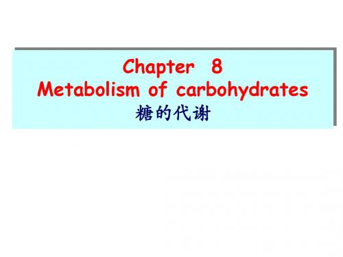第八章糖代谢双语--学生-PPT精品文档153页