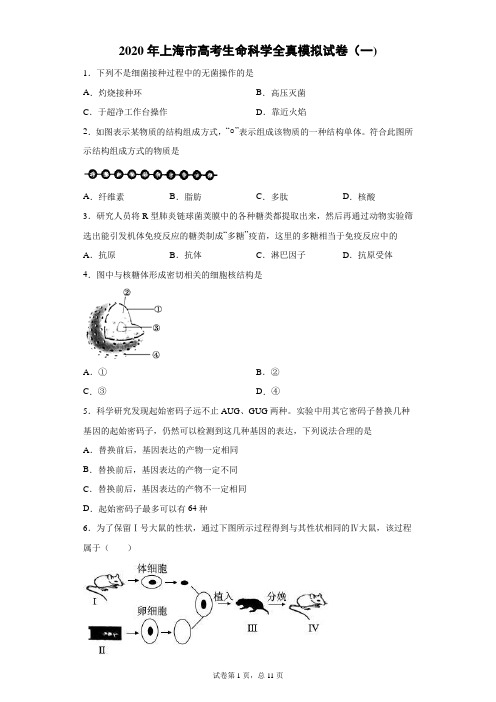 2020年上海市高考生命科学全真模拟试卷(一)(带答案解析)