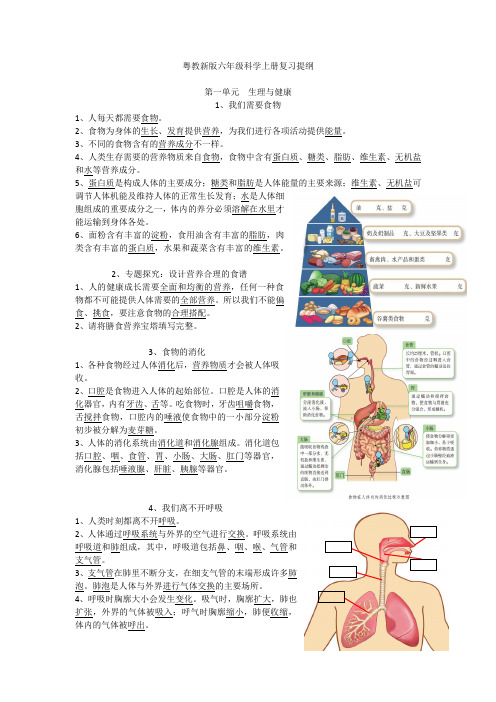 粤教新版六年级科学上册复习提纲