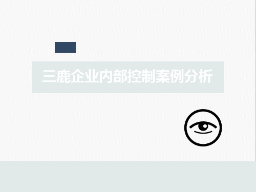 三鹿内部控制案例分析