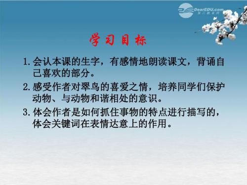 三年级语文下册翠鸟课件北京版-PPT文档资料