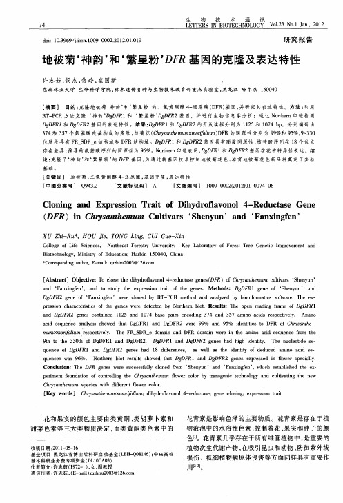 地被菊‘神韵’和‘繁星粉’DFR基因的克隆及表达特性