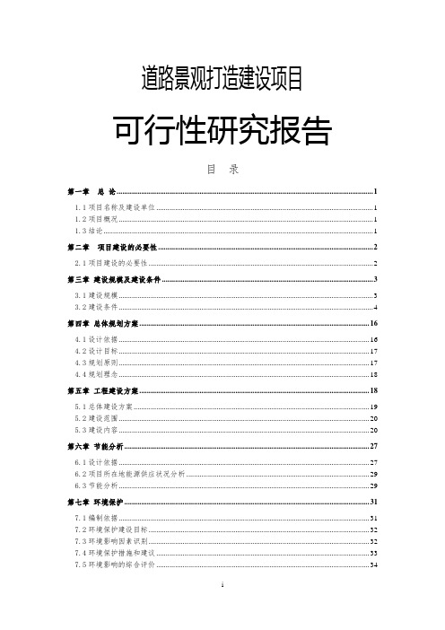 道路景观打造建设项目可行性研究报告