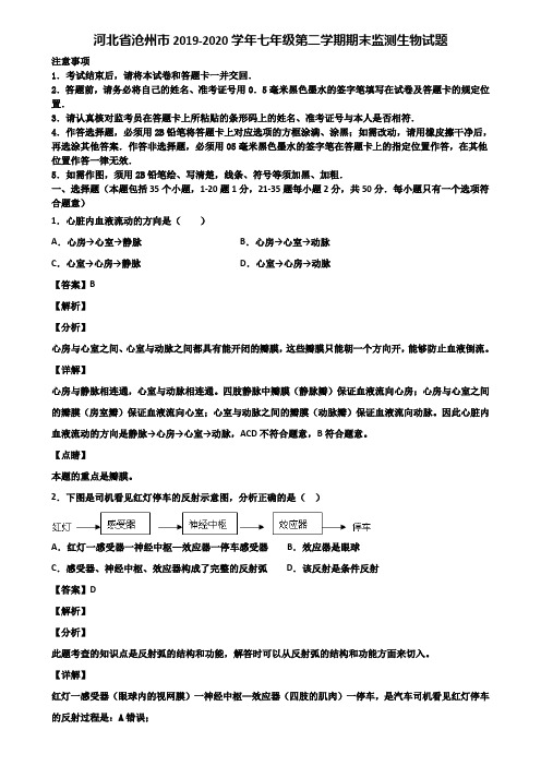 河北省沧州市2019-2020学年七年级第二学期期末监测生物试题含解析