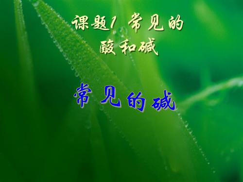 常见的酸和碱(常见的碱)