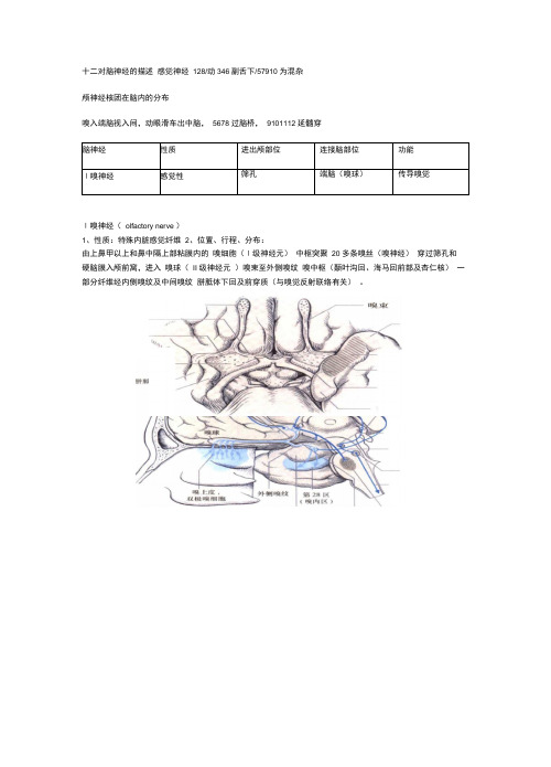 (完整版)十二对脑神经整理版.docx