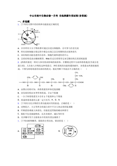 中山市高中生物必修一月考 非选择题专项试卷(含答案)