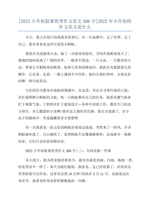 [2022小升初叙事优秀作文范文500字]2022年小升初的作文范文是什么