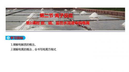 人教版高中化学必修1教学课件：第二章 化学物质及其变化 第二节 第1课时 酸、碱、盐在水溶液中的电离