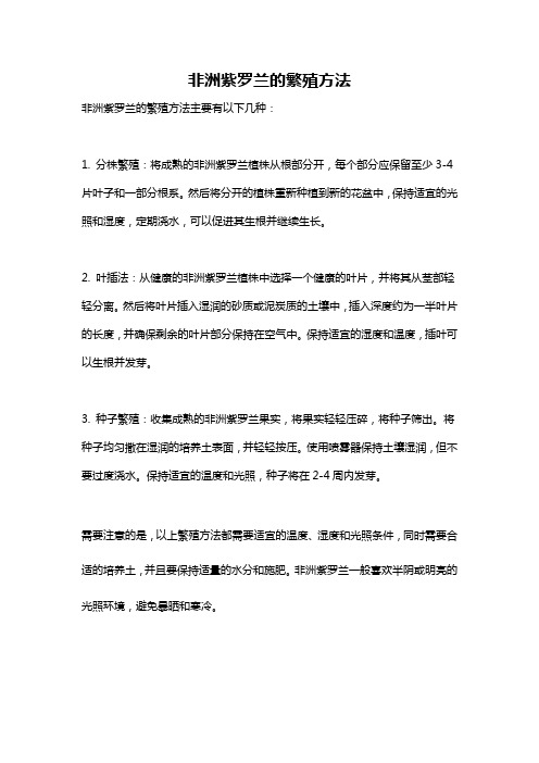 非洲紫罗兰的繁殖方法