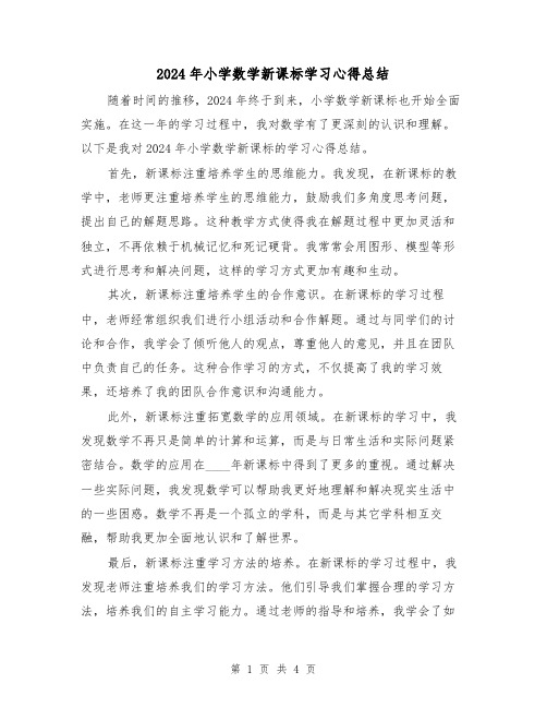 2024年小学数学新课标学习心得总结（2篇）