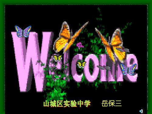 七颗钻石 课件