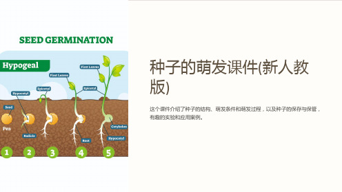 种子的萌发课件(新人教版)