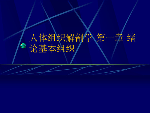 人体组织解剖学 第一章 绪论基本组织