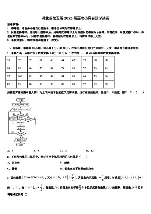 湖北省第五届2025届高考仿真卷数学试卷含解析