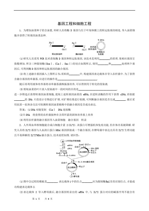 高中生物专题复习：基因工程和细胞工程