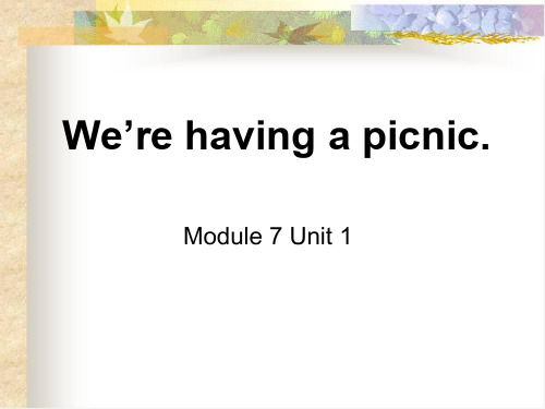 外研版英语二下Module 7《Unit 2 We’re having a picnic》ppt课件1