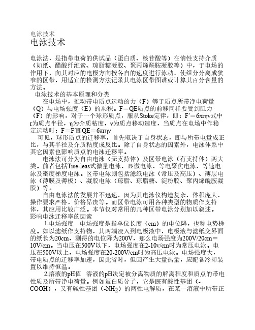 电泳介绍