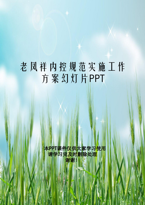 老凤祥内控规范实施工作方案幻灯片PPT