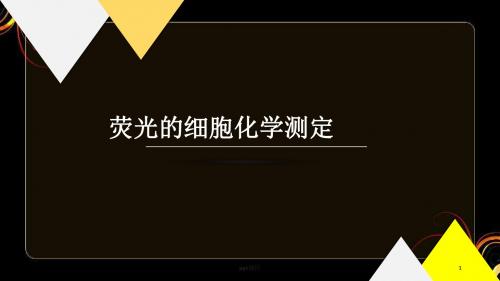 细胞生物学荧光染色实验  ppt课件