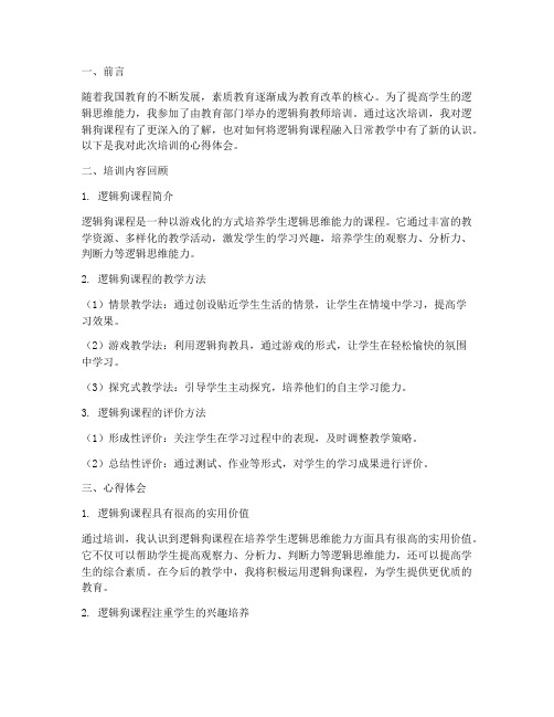 教师逻辑狗培训心得体会