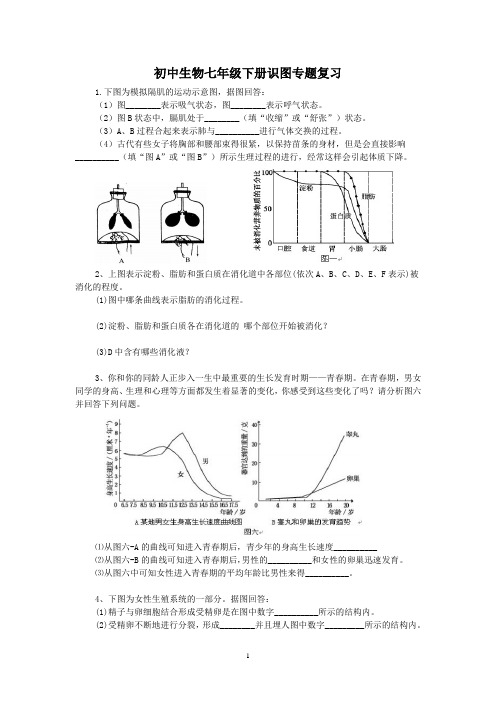 初中生物七年级下册识图专题复习