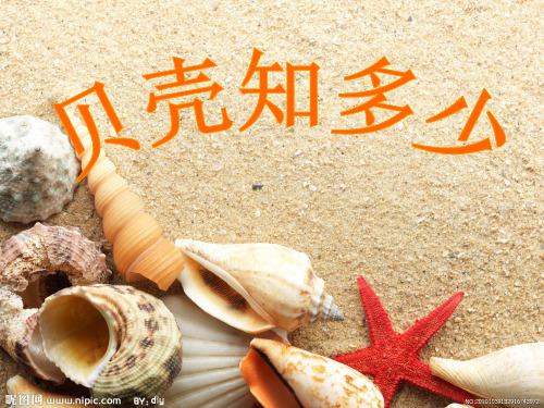 贝壳知识