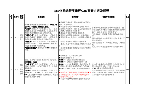 HSE 28要素审核评估内容方法解释