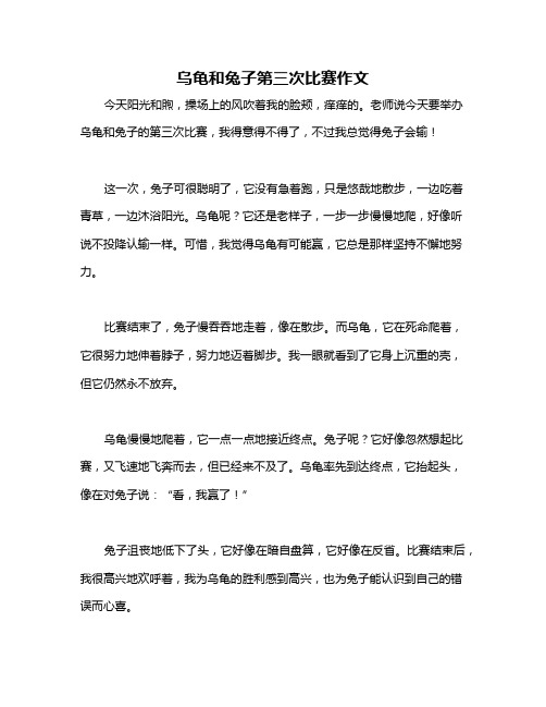 乌龟和兔子第三次比赛作文