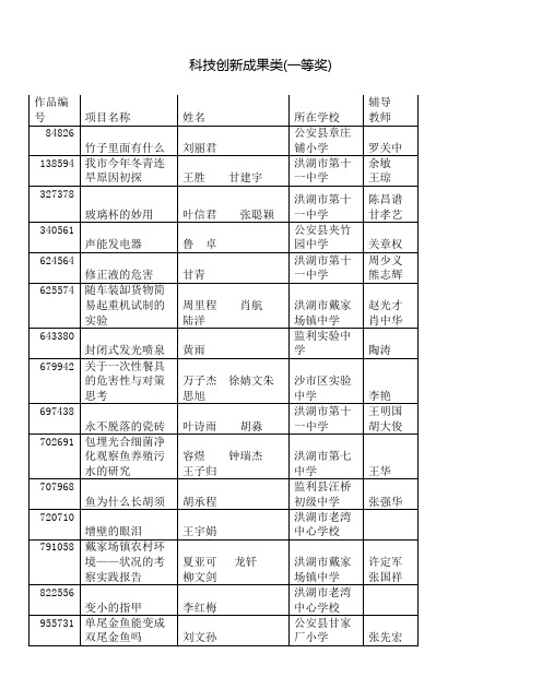 科技创新成果类(一等奖)