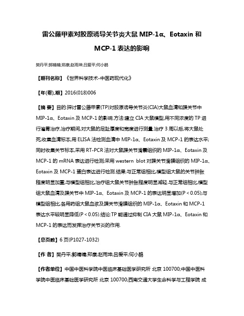 雷公藤甲素对胶原诱导关节炎大鼠MIP-1α、Eotaxin和MCP-1表达的影响