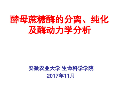 酵母蔗糖酶的分离、纯化及酶动力学分析 -1