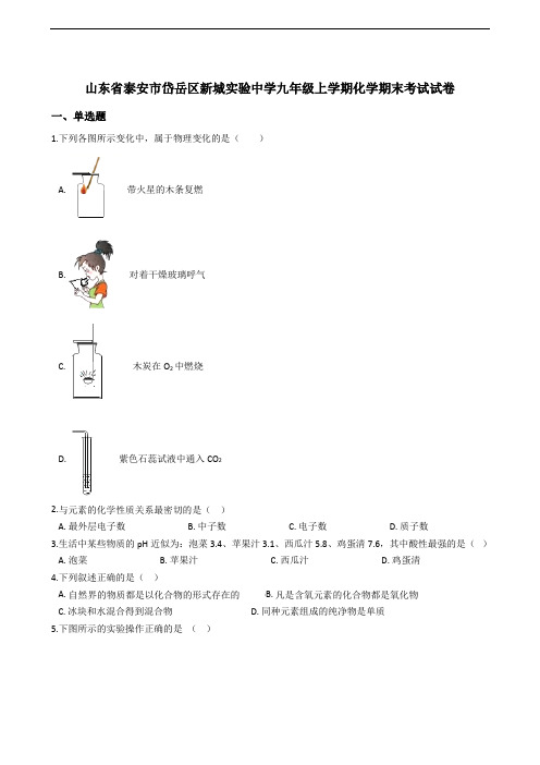 山东省泰安市岱岳区新城实验中学九年级上学期化学期末考试试卷(解析版)