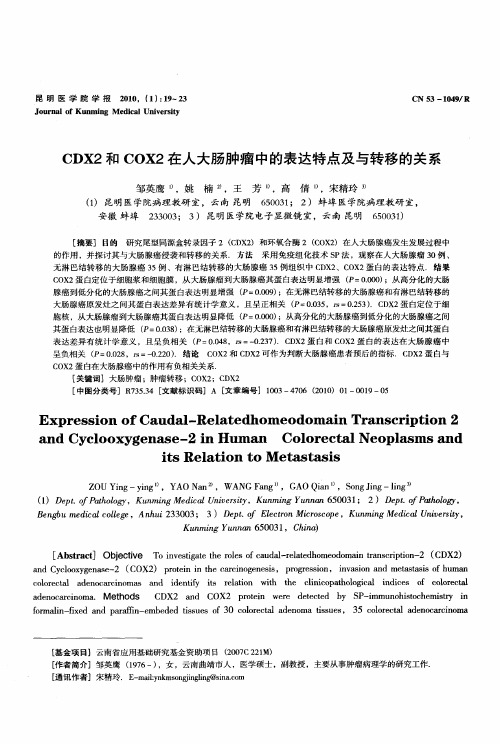 CDX2和COX2在人大肠肿瘤中的表达特点及与转移的关系