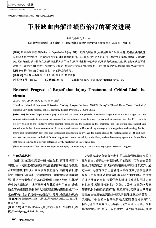 下肢缺血再灌注损伤治疗的研究进展