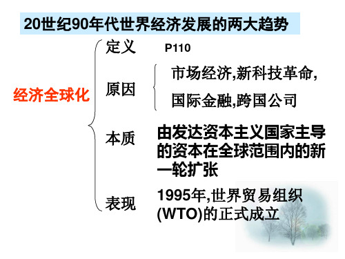 高二历史世界经济的发展1(PPT)5-2