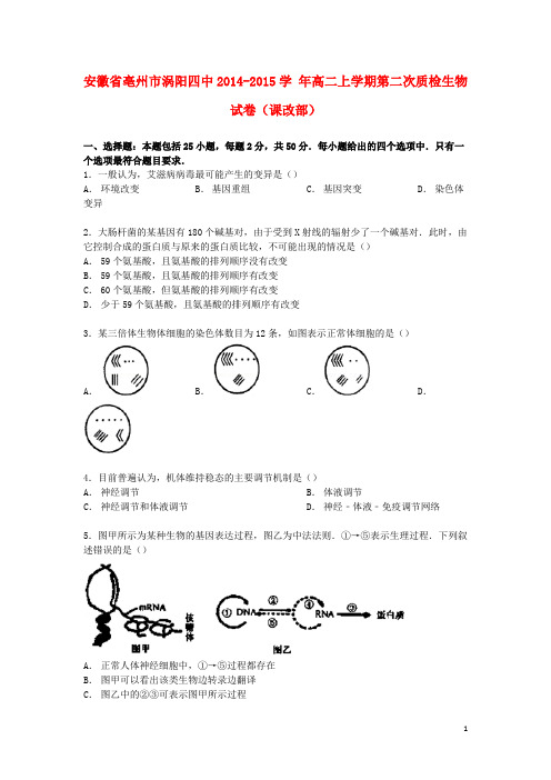 安徽省亳州市涡阳四中2014_2015学年高二生物上学期第二次质检试卷(课改部)(含解析)