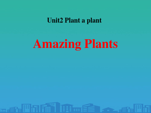 《Amazing-Plants》Plant-a-Plant-PPT