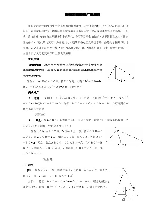 射影定理的推广及应用