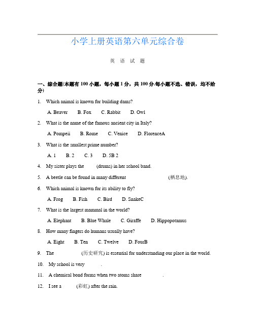 小学上册E卷英语第六单元综合卷