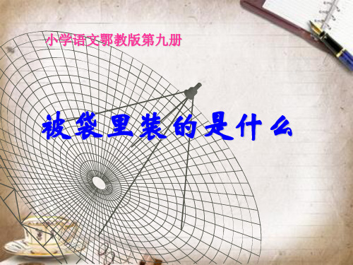 五年级上册语文课件-3.3 背袋里装的是什么｜鄂教版 (共14张PPT)