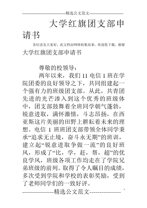 大学红旗团支部申请书