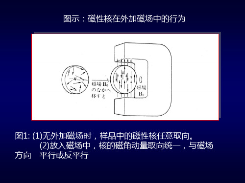 核磁共振波谱分析(NMR)